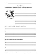Arbeitsblatt-Nadelbäume-1.pdf